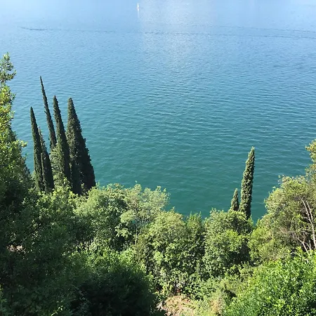 The Cypress House - Historical Center With Ac Apartman