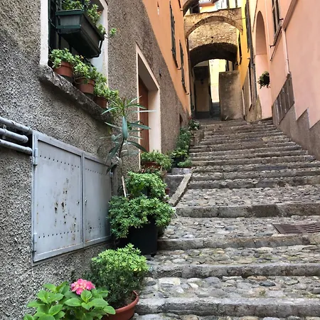 The Cypress House - Historical Center With Ac Apartman