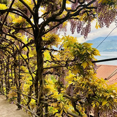 The Cypress House - Historical Center With Ac * Varenna